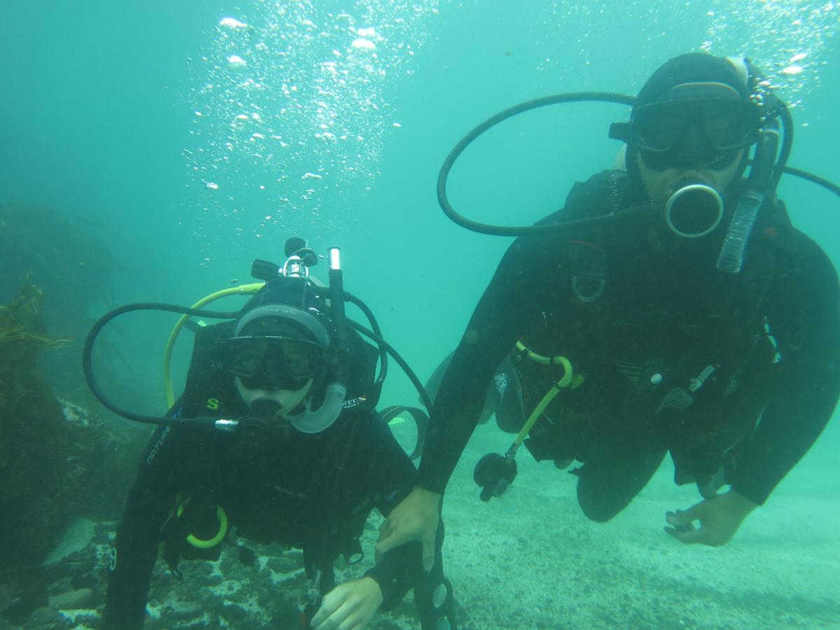 Refugio Humboldt Βίλα Punta de Choros Εξωτερικό φωτογραφία