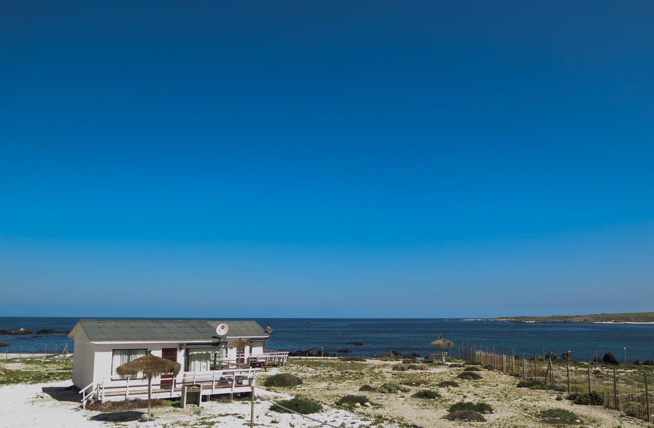 Refugio Humboldt Βίλα Punta de Choros Εξωτερικό φωτογραφία