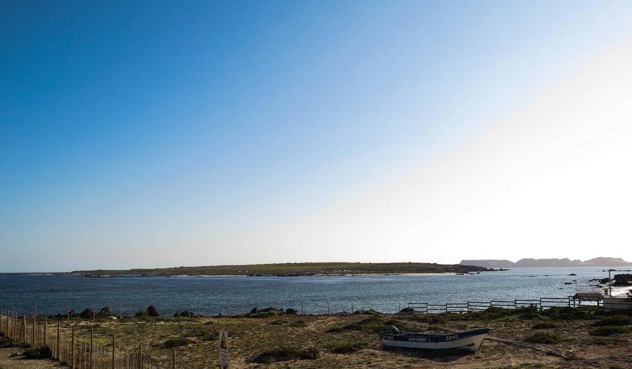 Refugio Humboldt Βίλα Punta de Choros Εξωτερικό φωτογραφία