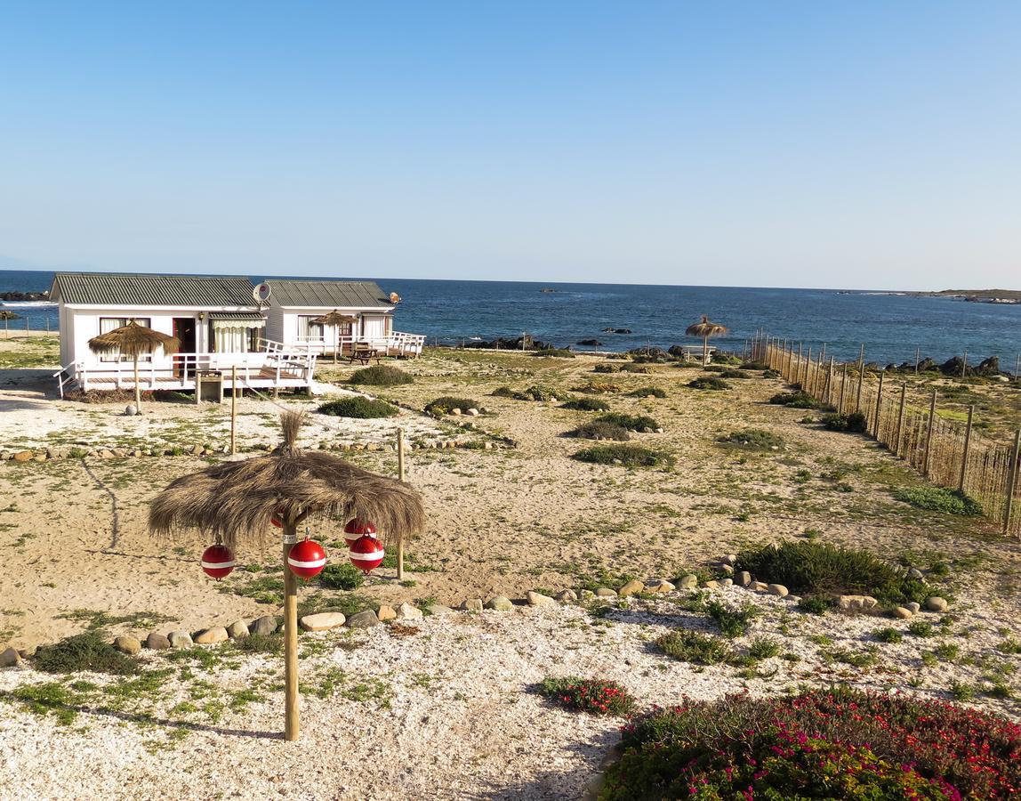 Refugio Humboldt Βίλα Punta de Choros Εξωτερικό φωτογραφία